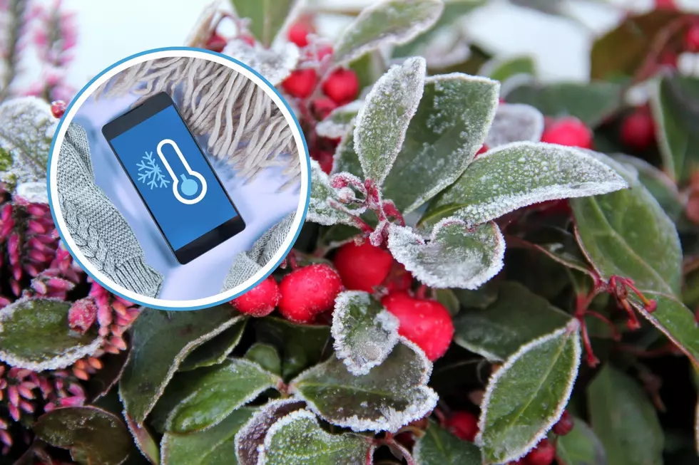 Here’s When To Expect Our First Frost In Arkansas